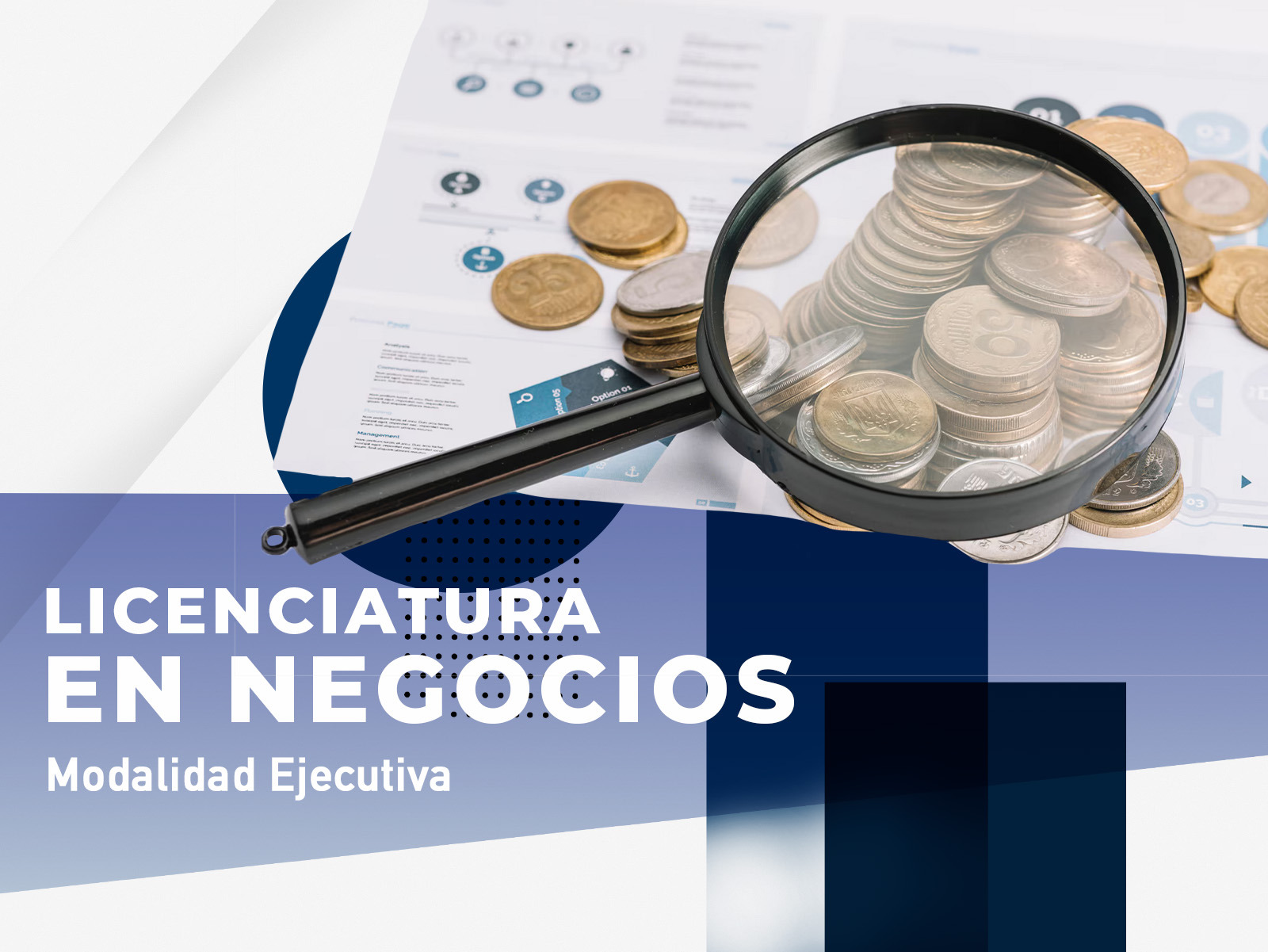Negocios | Cuatrimestral [Ejecutiva]